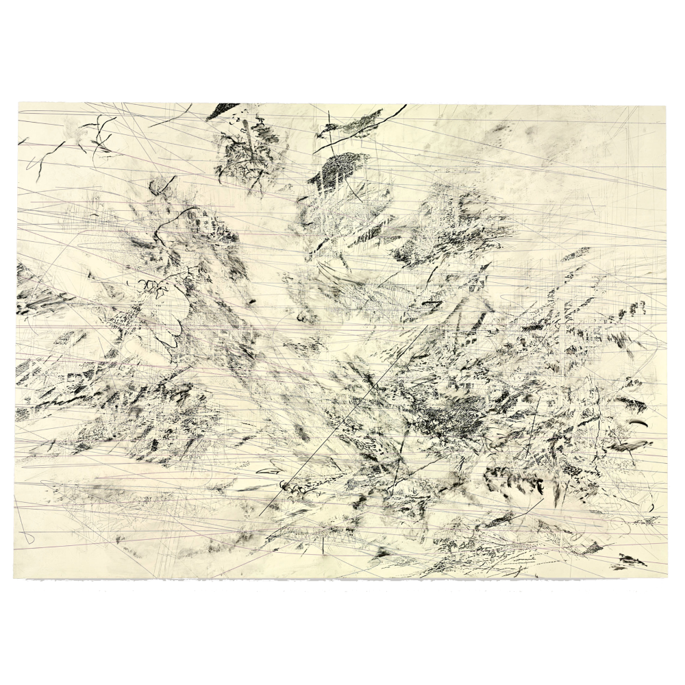 Julie Mehretu