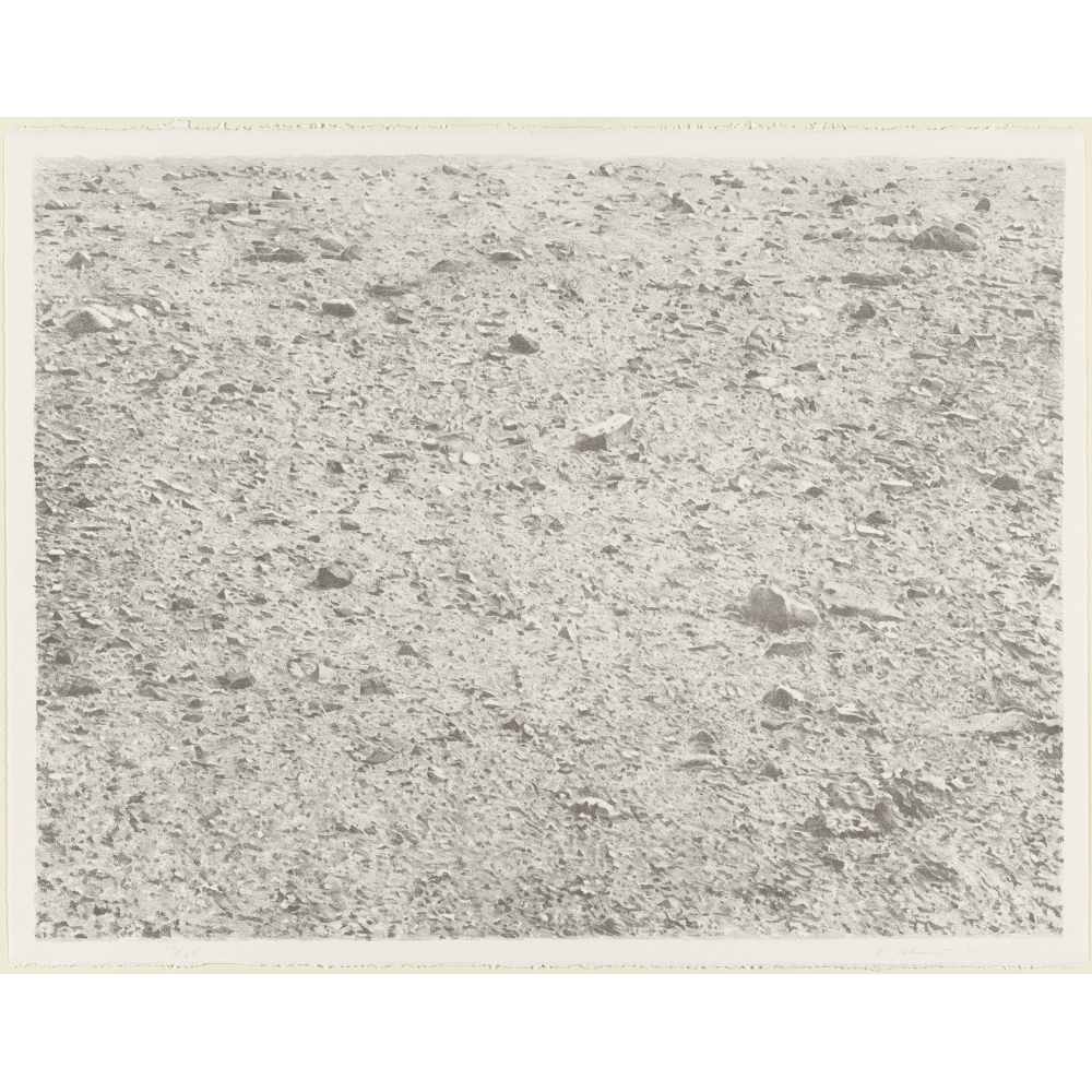 Vija Celmins