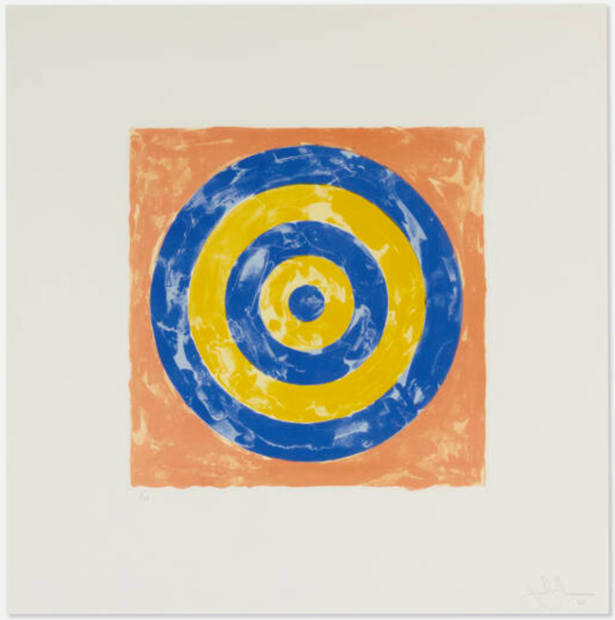 Faded Jasper Johns Target Print